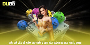 Giải mã vấn đề nằm mơ thấy 2 con rắn đánh de bao nhiêu DU88