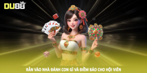 Rắn vào nhà đánh con gì và điềm báo cho hội viên