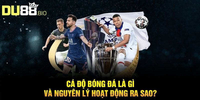 Cách Tính Tiền Thắng Thua Cá Độ Bóng Đá Chuẩn Xác Từ DU88 2 Cá độ bóng đá là gì và nguyên lý hoạt động ra sao?