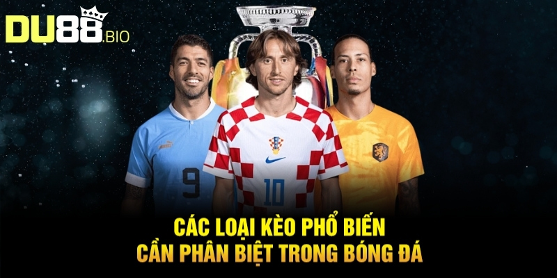 Cách Tính Tiền Thắng Thua Cá Độ Bóng Đá Chuẩn Xác Từ DU88 1 Cách Tính Tiền Thắng Thua Cá Độ Bóng Đá Chuẩn Xác Từ DU88