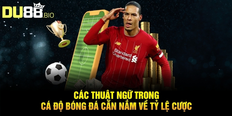 Các thuật ngữ trong cá độ bóng đá cần nắm về tỷ lệ cược