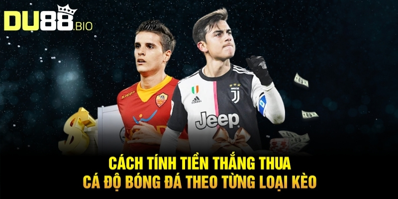 Cách Tính Tiền Thắng Thua Cá Độ Bóng Đá Chuẩn Xác Từ DU88 5 Cách tính tiền thắng thua cá độ bóng đá khi cược kèo rung