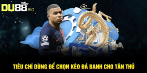 Tổng Hợp Các Kèo Bóng Đá Dễ Chơi Cho Người Mới Cá Cược