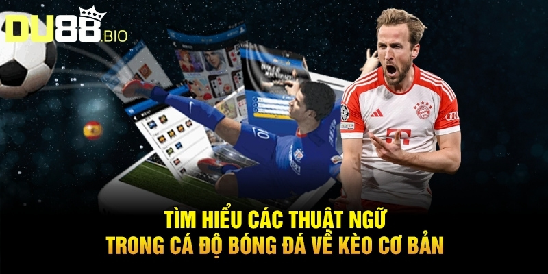 Tìm hiểu các thuật ngữ trong cá độ bóng đá về kèo cơ bản