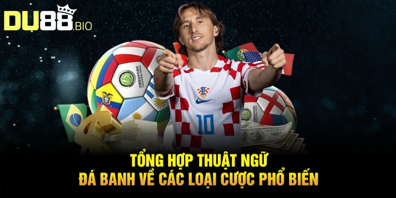 Tổng hợp thuật ngữ đá banh về các loại cược phổ biến