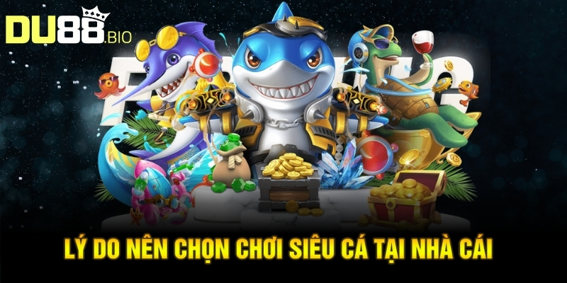 Lý do nên chọn chơi Siêu Cá tại nhà cái 