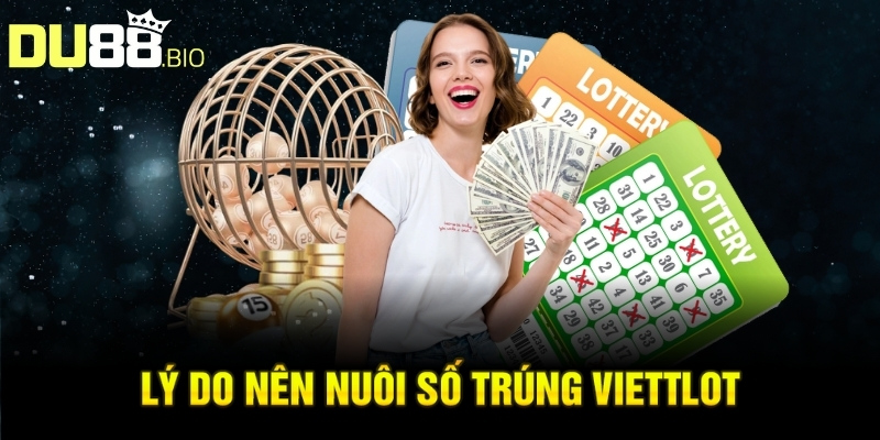 Lý do nên nuôi số trúng viettlot