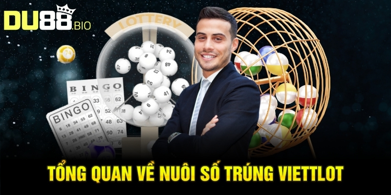 Tổng quan về nuôi số trúng viettlot