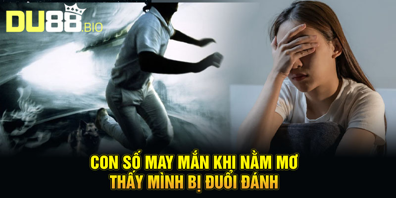 Nằm Mơ Thấy Mình Bị Đuổi Đánh - Giải Mã Điềm Báo, Tránh Xui Rủi 5 Con số may mắn khi nằm mơ thấy mình bị đuổi đánh