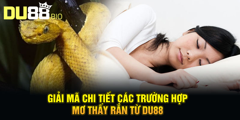Mơ Thấy Rắn - Giải Mã Bí Ẩn Về Điềm Báo Sắp Diễn Ra 4 Giải mã chi tiết các trường hợp mơ thấy rắn từ Du88