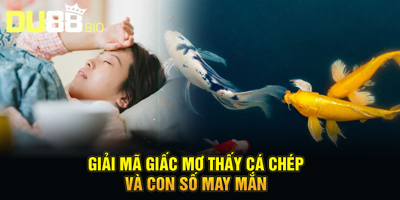Mơ Thấy Cá Chép Vàng - Hóa Rồng Đổi Vận, Thăng Tiến Bất Ngờ 4 Giải mã giấc mơ thấy cá chép và con số may mắn