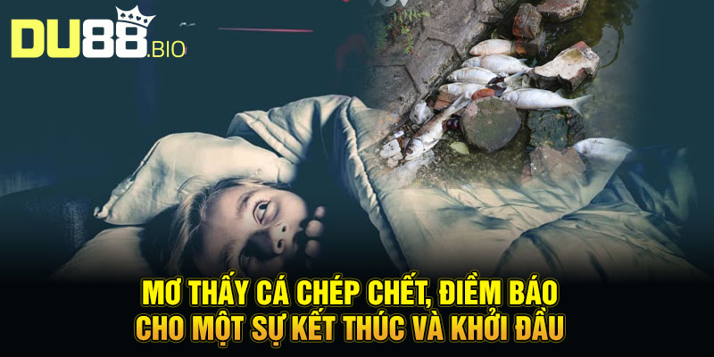 Mơ Thấy Cá Chép Vàng - Hóa Rồng Đổi Vận, Thăng Tiến Bất Ngờ 3 Mơ thấy cá chép chết, điềm báo cho một sự kết thúc và khởi đầu