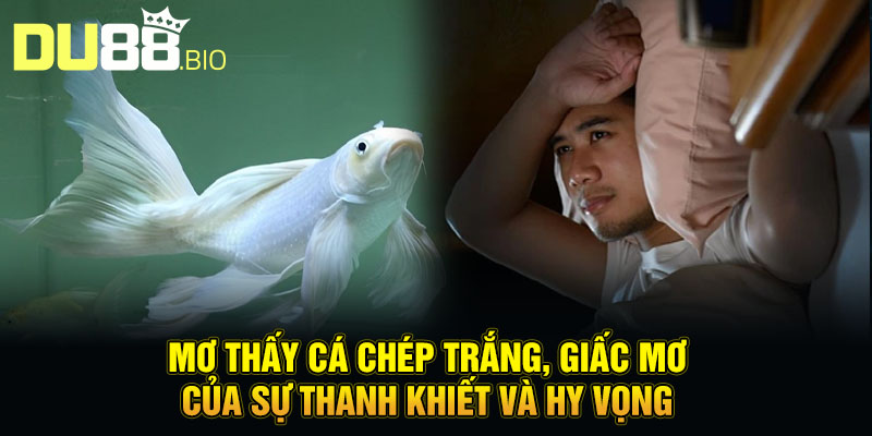 Mơ Thấy Cá Chép Vàng - Hóa Rồng Đổi Vận, Thăng Tiến Bất Ngờ 2 Mơ thấy cá chép trắng, giấc mơ của sự thanh khiết và hy vọng