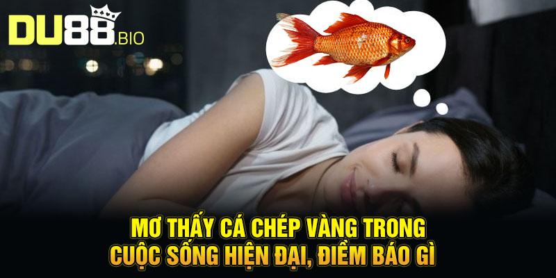 Mơ Thấy Cá Chép Vàng - Hóa Rồng Đổi Vận, Thăng Tiến Bất Ngờ 5 Mơ thấy cá chép vàng trong cuộc sống hiện đại, điềm báo gì