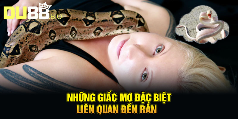 Mơ Thấy Rắn - Giải Mã Bí Ẩn Về Điềm Báo Sắp Diễn Ra 5 Những giấc mơ đặc biệt liên quan đến rắn