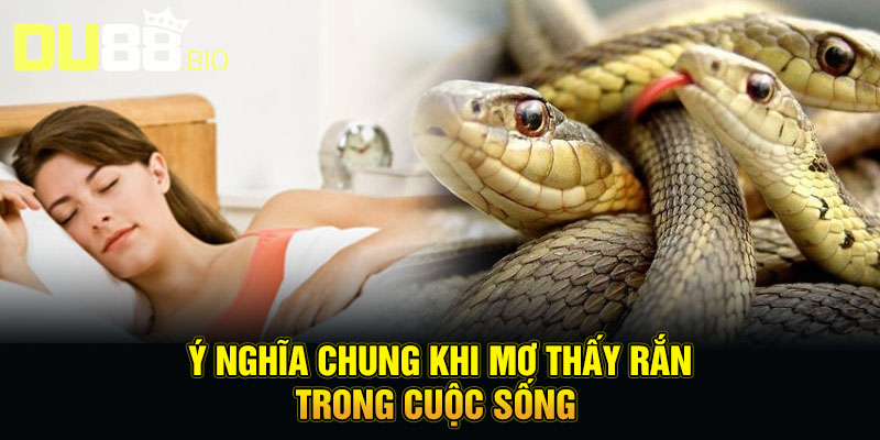 Mơ Thấy Rắn - Giải Mã Bí Ẩn Về Điềm Báo Sắp Diễn Ra 2 Ý nghĩa chung khi mơ thấy rắn trong cuộc sống