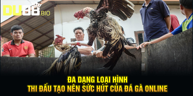 Đá Gà Trực Tuyến Là Gì - Đấu Trường Nảy Lửa Cho Dân Chuyên 4 Đa dạng loại hình thi đấu tạo nên sức hút của đá gà online