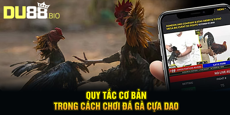 Quy tắc cơ bản trong cách chơi đá gà cựa dao